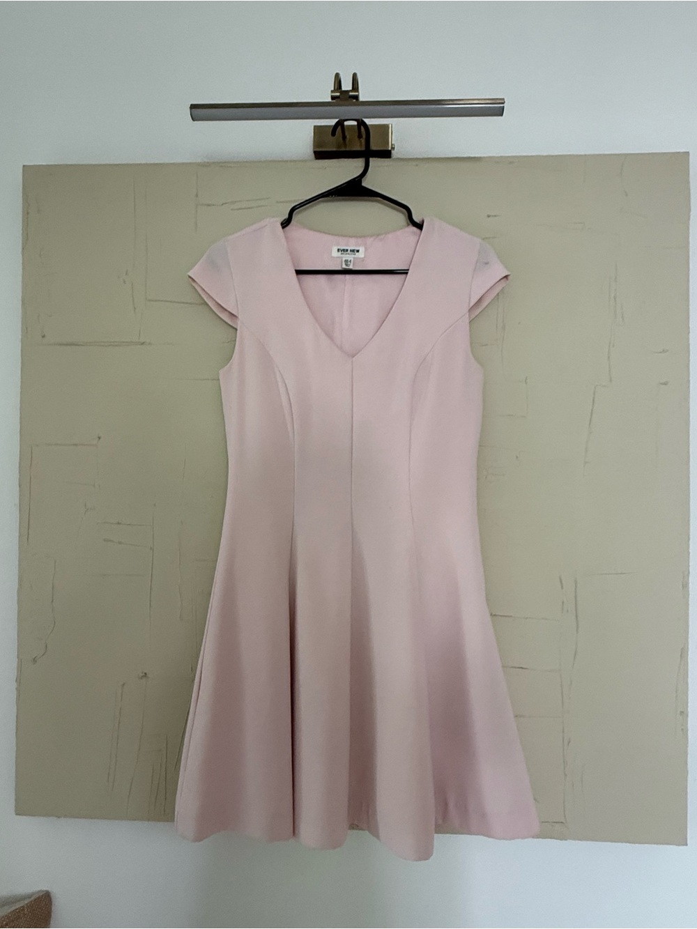 Ever New Pale Pink Fit-and-Flare V-Neck Dress
